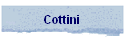 Cottini